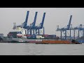 The Giant Ship Docked Suddenly Dropped Anchor, The Wooden Boat Speeded Up  | 4K Shipspotting