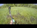 Bowfishing stalking carp in flooded grass