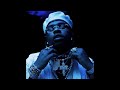 [FREE] Gunna x Young Thug Type Beat 2024 - 