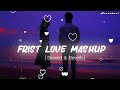 First LoVe Mashup || LoVe Mashup 2024 ( Slowerd & Reverb ) | LOVe Mashup | Trending Lofi Songs #lofi