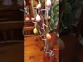 Decorazione albero di Pasqua! fai da te