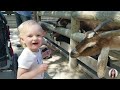 Funny Baby Meet Animals For The First Time || 5-Minute Fails