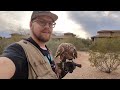 Can We Catch 100 Rabbits with a goshawk?