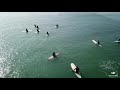 Whale Swims Beneath Group of Surfers Off Southern California Coast