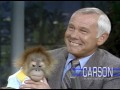 Baby Gorilla from San Diego Zoo: Orangutans on Johnny Carson's Tonight Show