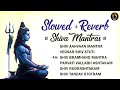 Powerful Shiva Mantras | Shiva Powerful Songs | Shiva Ancient Mantra | Slowed and Reverb