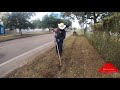 Cutting Down Extremely Overgrown Walkway Next To Busy Street (taking care of the cities job)