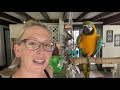 MAKING MY OWN PARROT TOYS | BULK BIRD TOY PARTS