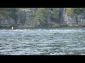 Dolphins return to Secret Cove BC