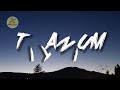 David Guetta - Titanium ft.Sia (Lyrics) #titanium #sia #lyrics #songs