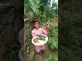 Zainab picking up cucumber and figs.