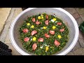 How to cook Spinach. Green Vegetables. The Best Spinach Recipe.