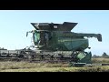 John Deere S690, S790 & X9 1100 harvesting Grass Seed | Harvest 2024