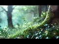 Calm Your Mind And Take a Rest | Music for Serenity