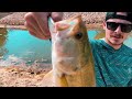 Catching BIG Bass at a NEW Man Made Lake! FIGHTING FISH EP. 5 Season 1.