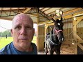 DRAFT HORSES // Making some improvements to horse barn