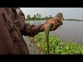 বোয়াল মাছ ধরার ওস্তাদ |টাঙ্গনে যে এত বোয়াল থাকে চাচা না ধরলে জানতাম ই না| Traditional Hook Fishing