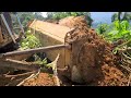 The Perfect Heavy Equipment Caterpillar D6R XL Bulldozer Operator Constructing Forest Road