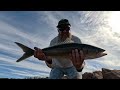 A Stinky Salmon Ate My Camera... [Dunsborough Rocks Salmon Session 🤙]