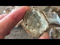 Rockhounding for Obsidian & Chalcedony in the Jemez Mountains - Part 2 - Finding Sources!