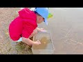 Ren Found 100s of Tadpoles By The Lake and Release Them