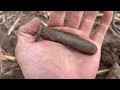 Metal detecting a corn field and beeping a new yard!!