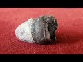 Metal Detecting : Crystal Clear River Treasure