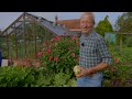 First frosts are approaching | Here are ideas  for being ready || Charles Dowding