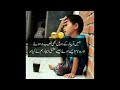 Urdu Latifa 2024 Funny jokes| latest Urdu Latifa| Mehroz Chitrali