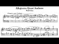 Beethoven - Allegretto quasi andante WoO 61a