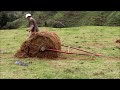 Rollit Hay Feeder Demonstration