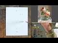 Live Painting Session: Two exceptionally beautiful roses