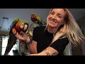 Parrot Handling 101 | Proper Handling With Pet Birds