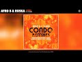 Afro B ft. T Pain - Condo (Roska Remix) (Audio)