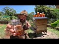 HONEY ON TAP: Harvesting Liquid Gold from the Flow Hive