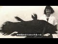 The undersea monsters: real legends, rediscover the extinct…… | Self Talking President