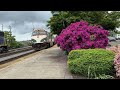 Beautiful Flowers at Vancouver Train Station