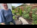 You Won’t Believe What She’s Done On A Suburban Lot 🏡|| Visit Our Garden