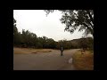 Paul, Deer, Turkey at Palo Duro