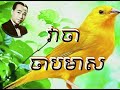 វាចាចាបមាស - លោកតា សុីនសុីសាមុត