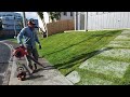 LONG GRASS MOWING | Satisfying transformation