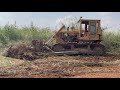 Awesome Bulldozer forestry clearing operators Caterpillar D6D