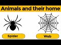 Animals and their homes | Animals home | Home of animals | Animal homes | Animal shelter for kids