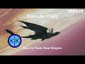 Romantic Flight - How to Train Your Dragon | KannaKandy Remake