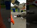 operation trash pickup part 2