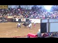 Cowtown Rodeo