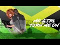 Watch Chris icon Turn me on /official video lyric
