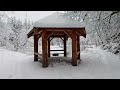 Enchanting Virtual Snowy Hike in a Winter Wonderland Around Rice Lake