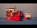 AMAZING SUNNY 4K SHIPSPOTTING ON RIVER SCHELDE DECEMBER 2023 WITH GIANT VEHICLE CARRIER