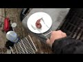 How to stop squirrels from eating from bird feeders| very effective way